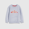 KidsCLub7 Multi Color Embroidered Crew Neck Full Sleeve Sweatshirt Grey